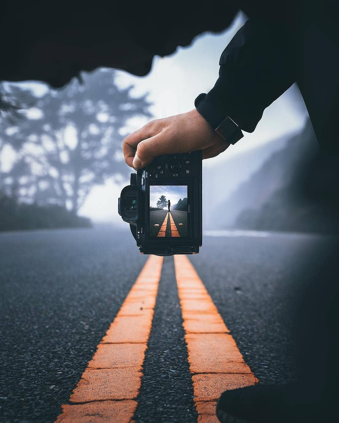 Reasons for Optimism: Building Connections for a Positive Future | The Dyson Blog